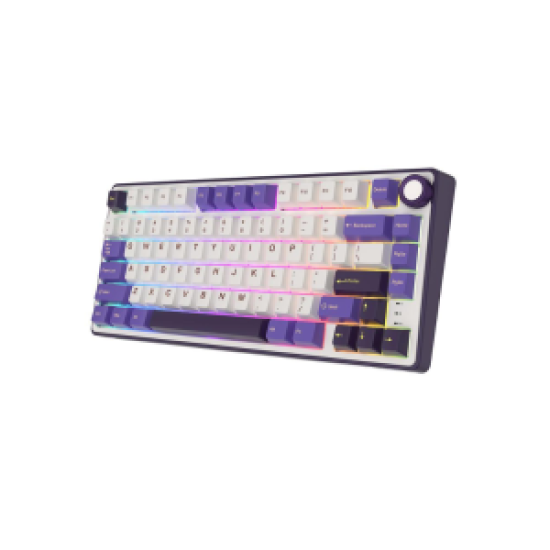 Royal Kludge RK R75 RGB Hot-Swappable Blackberry Switch Mechanical Keyboard
