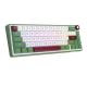Royal Kludge RK R65 Brown Switch RGB Hot Swappable Mechanical Keyboard- GREENSAND 